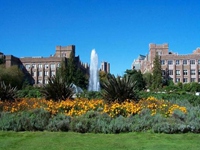 华盛顿大学西雅图分校