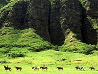 夏威夷旅游：古兰尼牧场