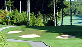 ߶򳡣Oakdale Golf & Country Club - Homenuik/Thom