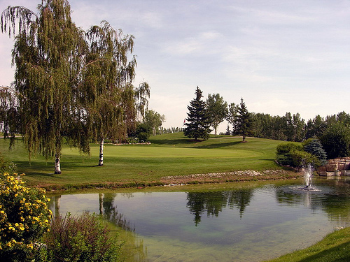 ߶򳡣Douglasdale Golf Course