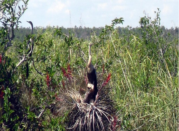 걱2013ݻΣг