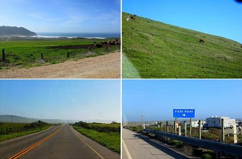 1Ź·Route One USAΪĹ·