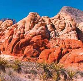 �����Լ���-̽�����ڻ���