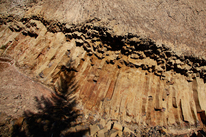 ��ʯ��԰������