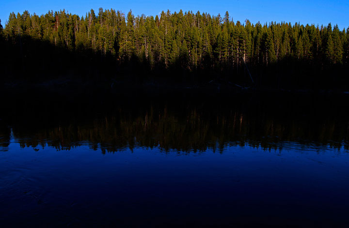 ��ʯ��԰������