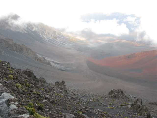 ï˵MauiΡ