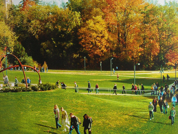 ѧ��������ֵ��ȥ�羰������������У